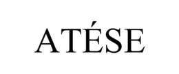 atÉse