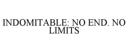 indomitable: no end. no limits