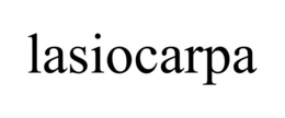 lasiocarpa