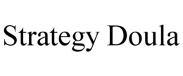strategy doula