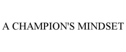 a champion's mindset