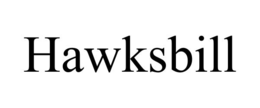 hawksbill