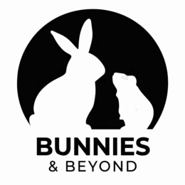 bunnies & beyond