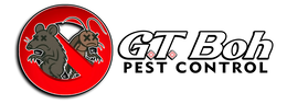 gt boh pest control