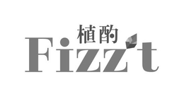 fizzt