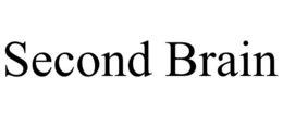second brain