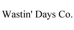 wastin' days co.
