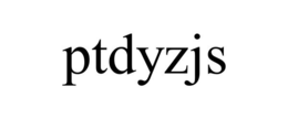 ptdyzjs
