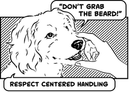 respect centered handling "don't grab the beard!"