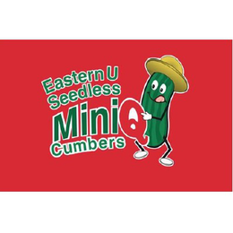 eastern u seedless mini q cumbers