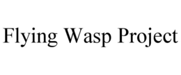 flying wasp project