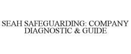 seah safeguarding: company diagnostic & guide