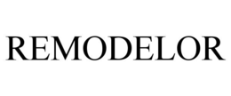 remodelor