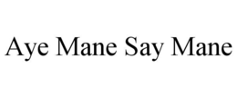 aye mane say mane