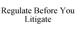 regulate before you litigate