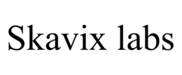 skavix labs