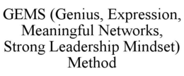 gems (genius, expression, meaningful networks, strong leadership mindset) method