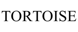 tortoise