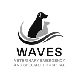 waves veterinary emergency and specialty hospital
