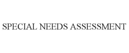 special needs assessment