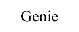 genie