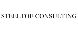 steeltoe consulting