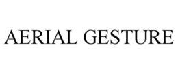 aerial gesture