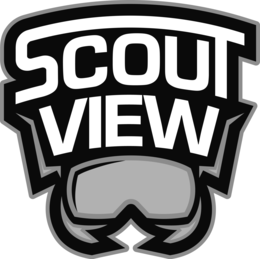 scout view