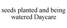 seeds planted and being watered daycare