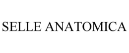 selle anatomica