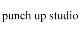 punch up studio
