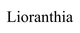 lioranthia