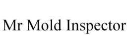 mr mold inspector