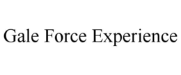 gale force experience