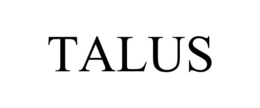 talus