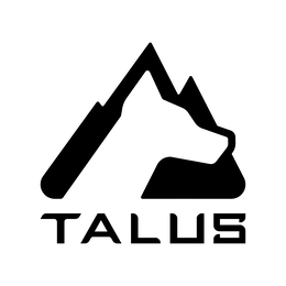 talus