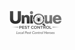 unique pest control local pest control heroes