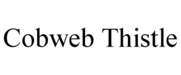 cobweb thistle