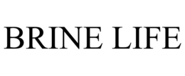 brine life