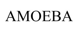 amoeba