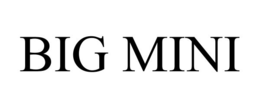 big mini
