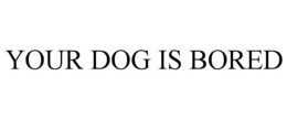 your dog is bored