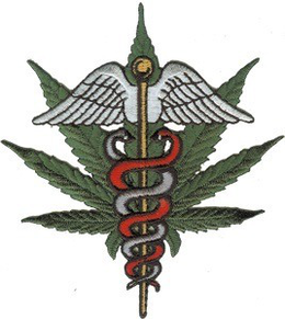 the green doctors