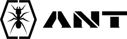 ant