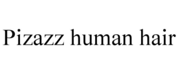 pizazz human hair