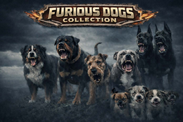 furious dogs collection