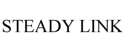steady link