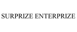 surprize enterprize