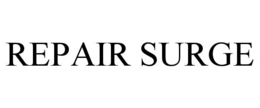 repair surge