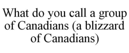 what do you call a group of canadians (a blizzard of canadians)